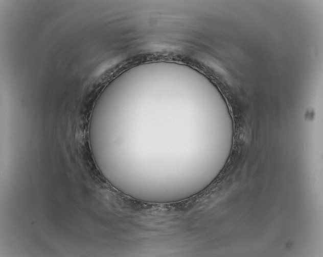 X0000097640869200803142044