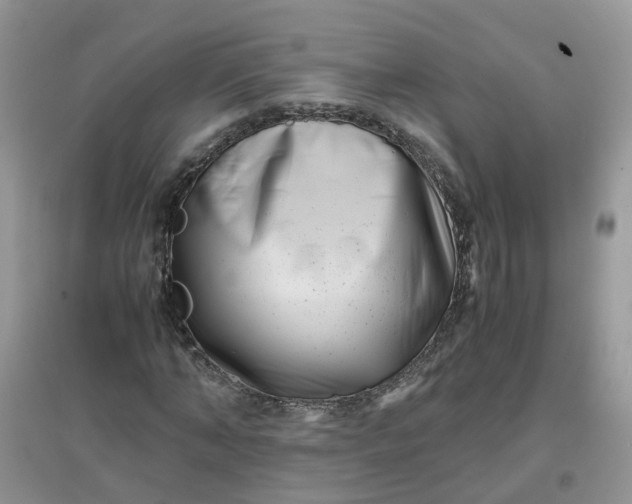 X0000097640870200803142044