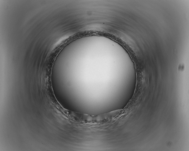 X0000097640872200803142044