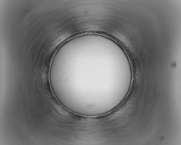 X0000097640873200803142044