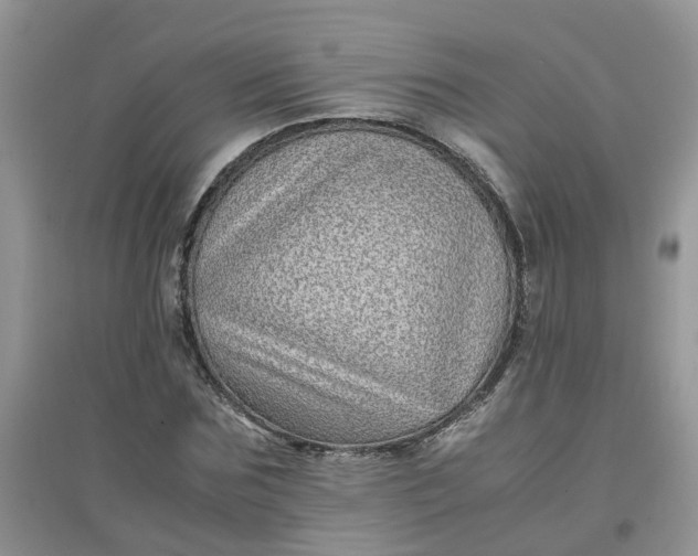 X0000097640875200803142044