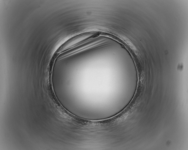 X0000097640877200803142044