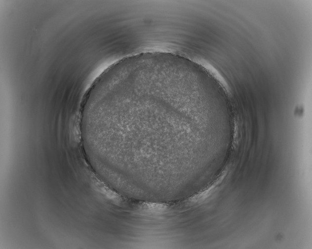 X0000097640878200803142044