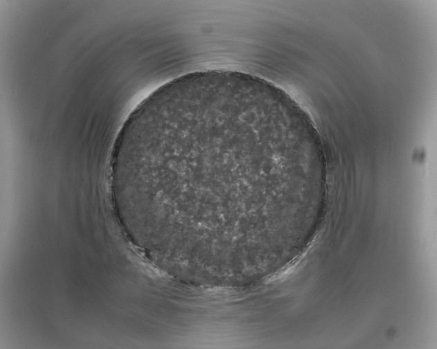 X0000097640879200803142044