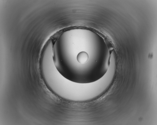 X0000097640880200803142044