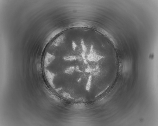 X0000097640882200803142044