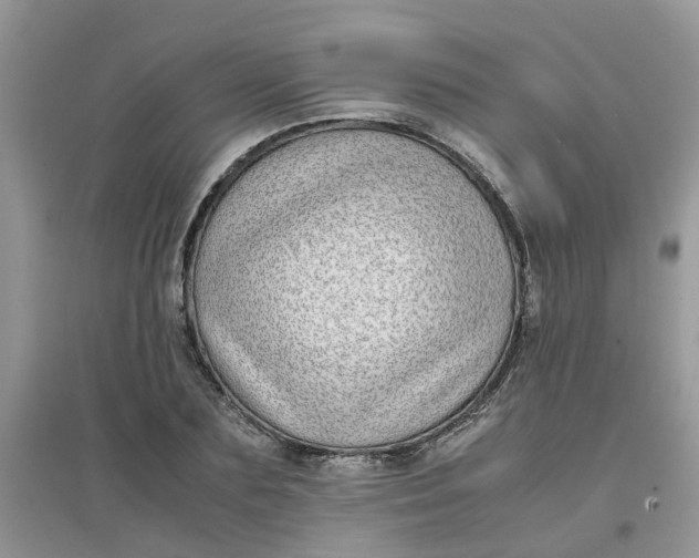 X0000097640883200803142044