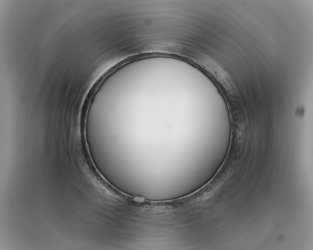 X0000097640884200803142044