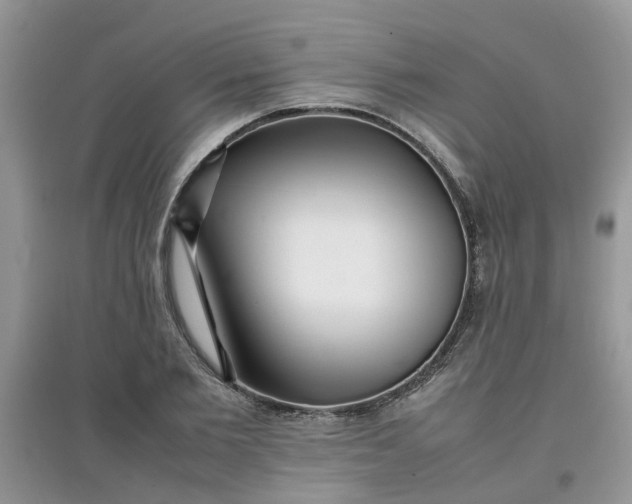 X0000097640885200803142044