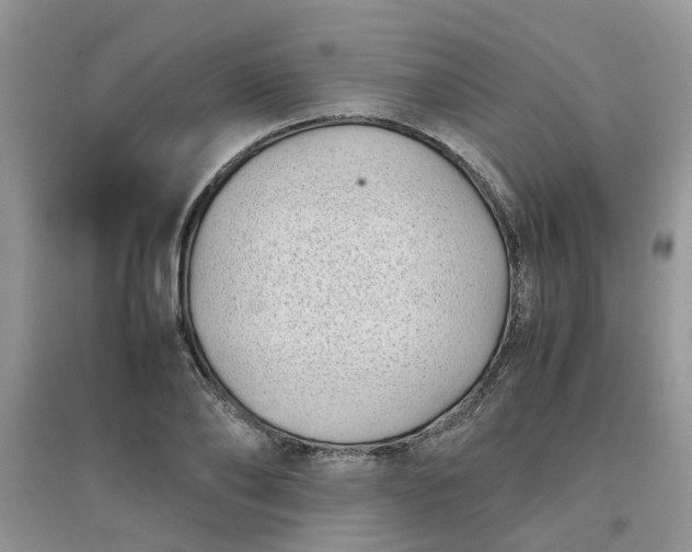 X0000097640886200803142044