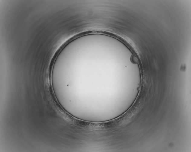 X0000097640887200803142044