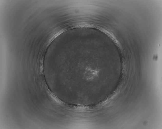 X0000097640889200803142044