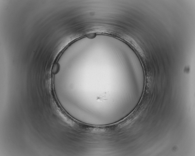 X0000097640890200803142044