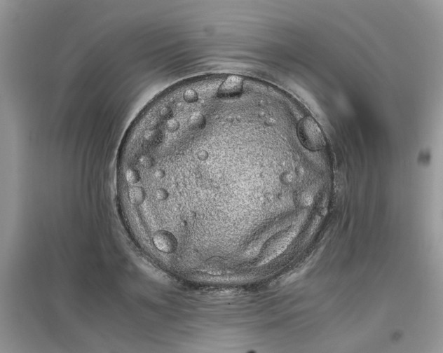 X0000097640891200803142044