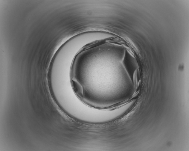 X0000097640893200803142044