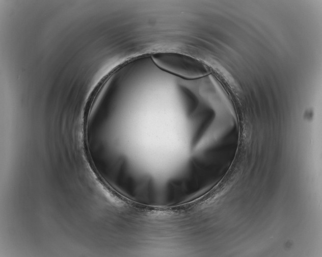 X0000097640894200803142044