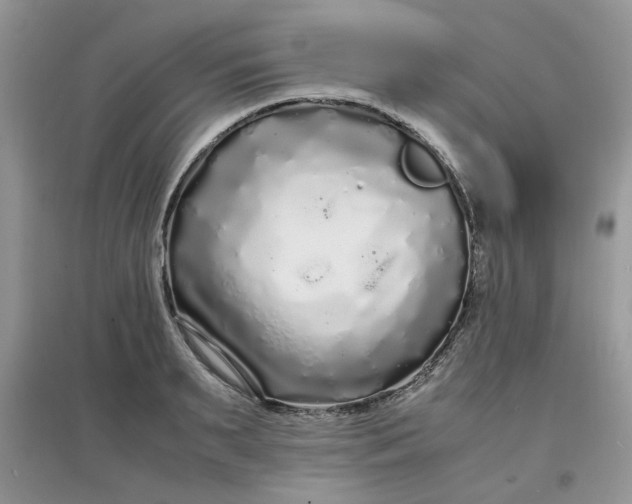 X0000097640895200803142044