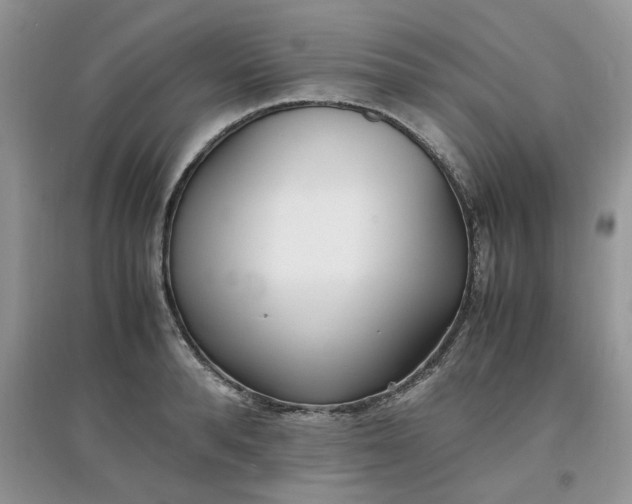 X0000097640896200803142044