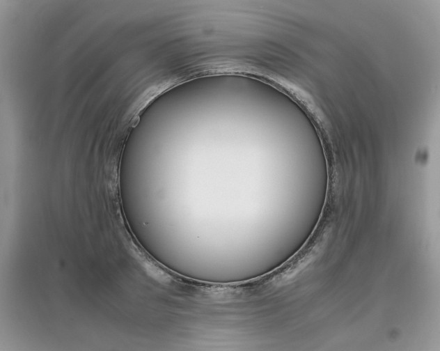 X0000097640897200803142044