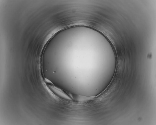 X0000097640898200803142044