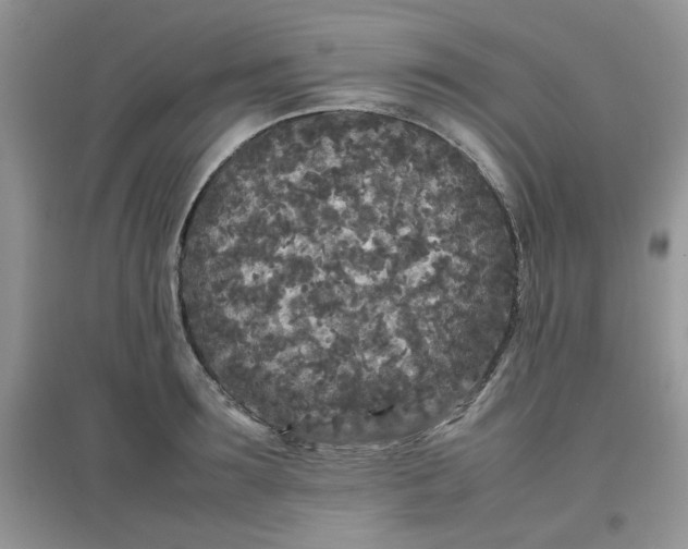 X0000097640899200803142044