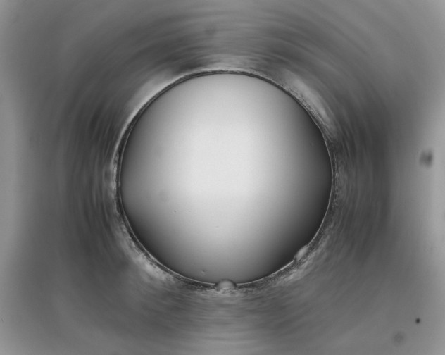 X0000097640900200803142044