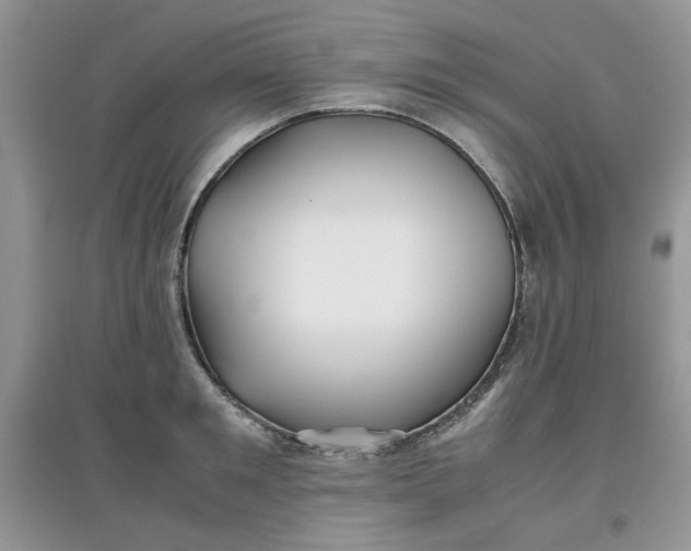 X0000097640901200803142044