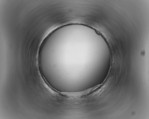 X0000097640902200803142044