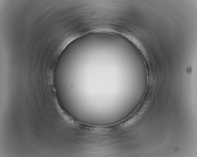 X0000097640905200803142044