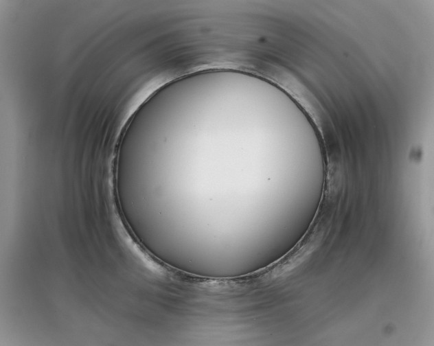 X0000097640906200803142044