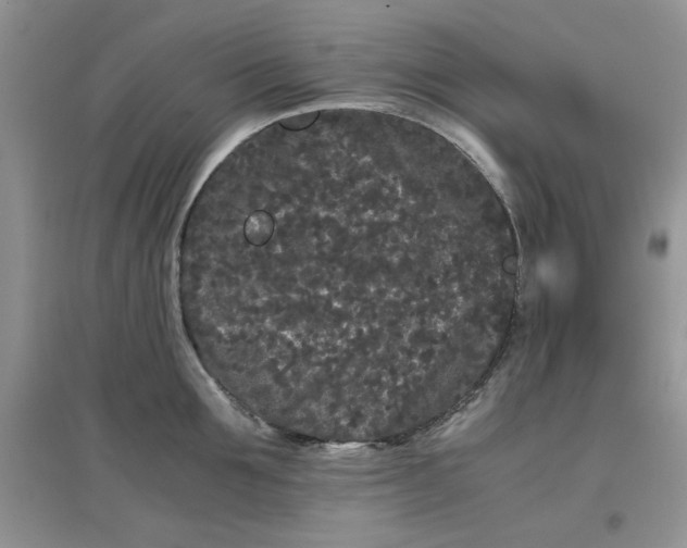 X0000097640907200803142044