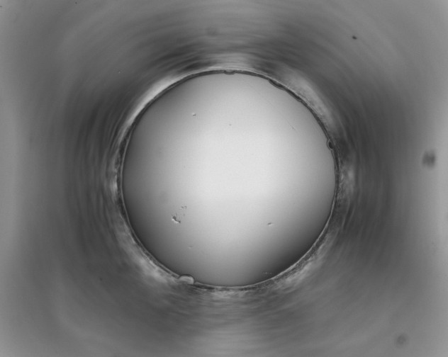 X0000097640908200803142044