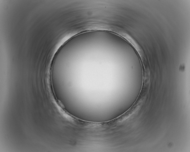 X0000097640909200803142044