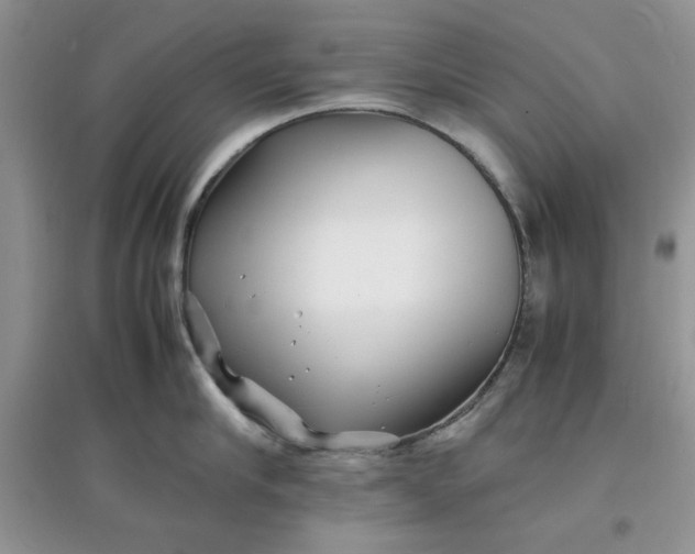 X0000097640910200803142044