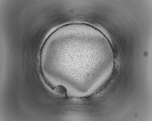 X0000097640911200803142044