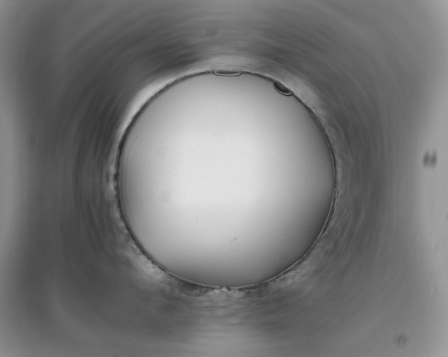 X0000097640912200803142044