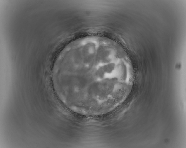 X0000097640913200803142043