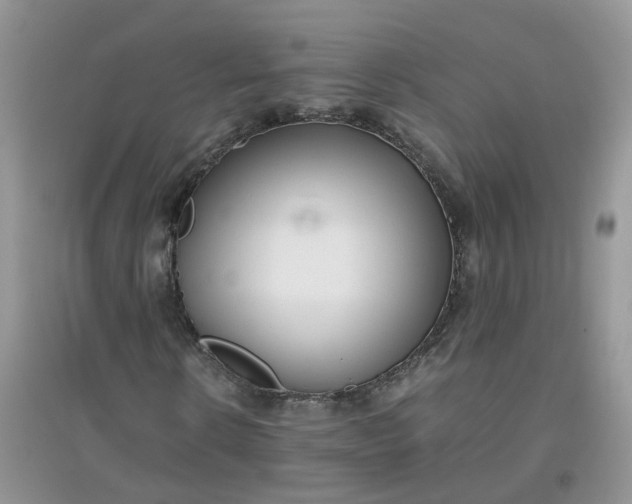 X0000097640914200803142043