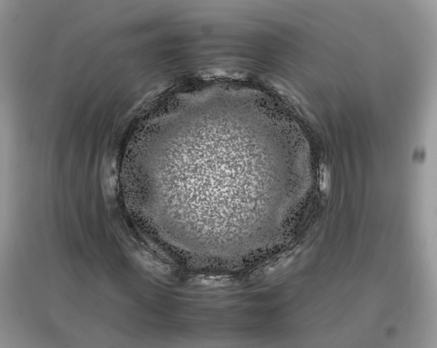 X0000097640915200803142043