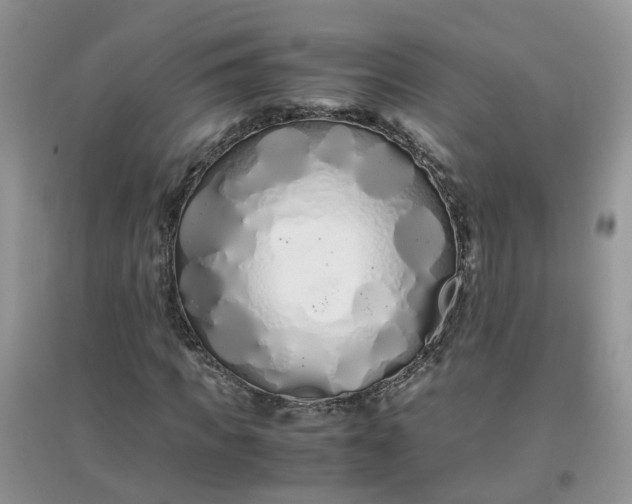 X0000097640917200803142043