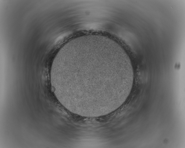 X0000097640918200803142043