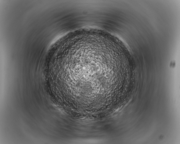 X0000097640919200803142043