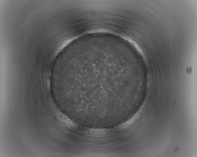 X0000097640921200803142043