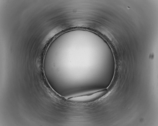 X0000097640922200803142043