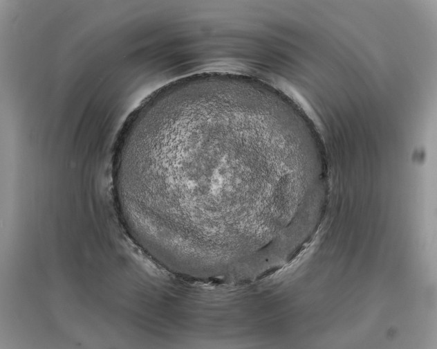 X0000097640923200803142043