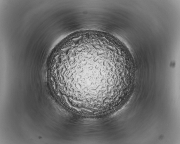 X0000097640925200803142043