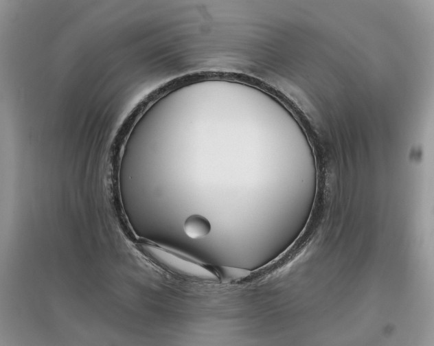 X0000097640926200803142043