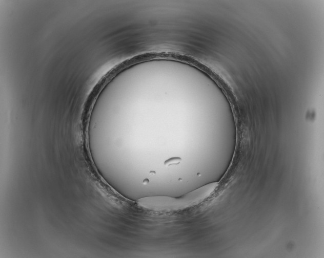 X0000097640927200803142043