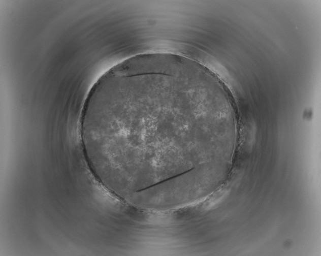 X0000097640928200803142043