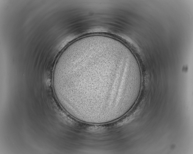 X0000097640929200803142043